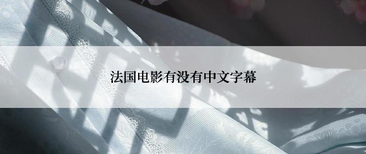 法国电影有没有中文字幕