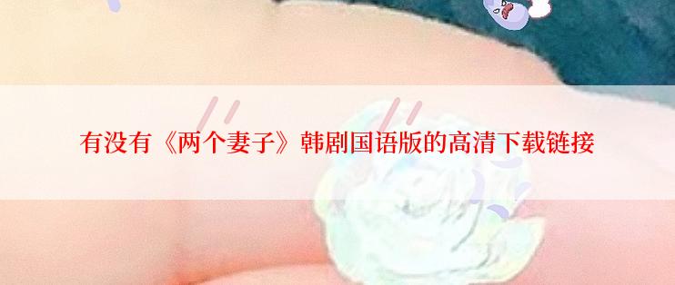 有没有《两个妻子》韩剧国语版的高清下载链接
