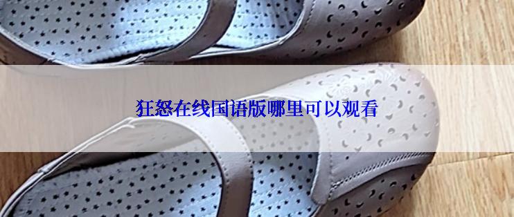 狂怒在线国语版哪里可以观看