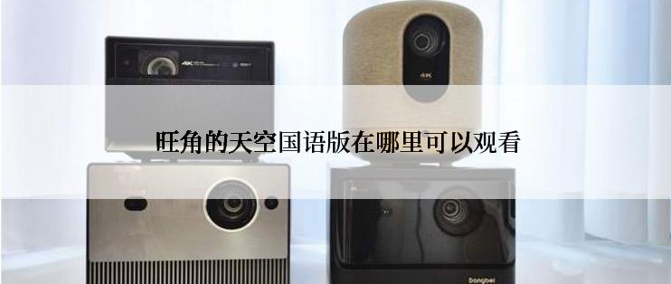  旺角的天空国语版在哪里可以观看
