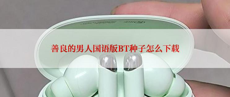 善良的男人国语版BT种子怎么下载