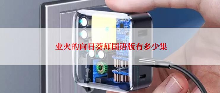  业火的向日葵师国语版有多少集