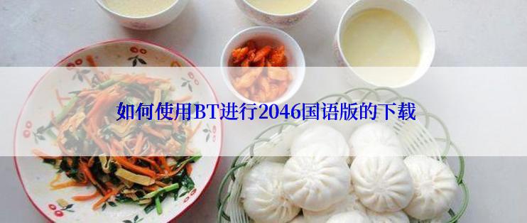  如何使用BT进行2046国语版的下载
