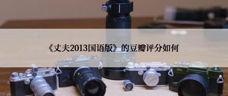 《丈夫2013国语版》的豆瓣评分如何