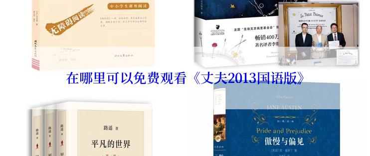 在哪里可以免费观看《丈夫2013国语版》