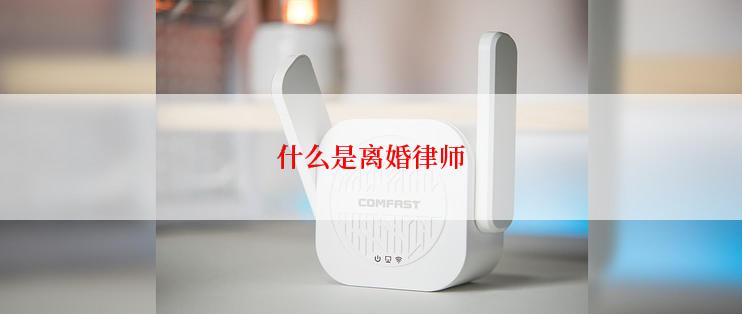 什么是离婚律师