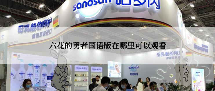 六花的勇者国语版在哪里可以观看