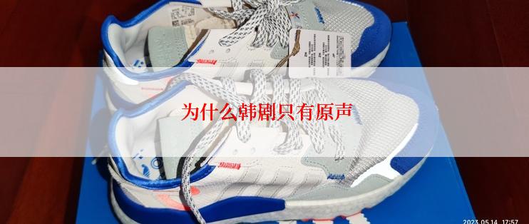  为什么韩剧只有原声