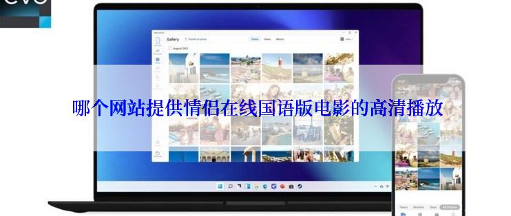  哪个网站提供情侣在线国语版电影的高清播放