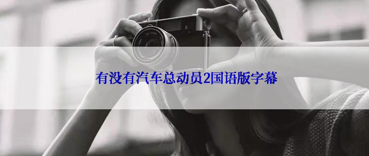 有没有汽车总动员2国语版字幕