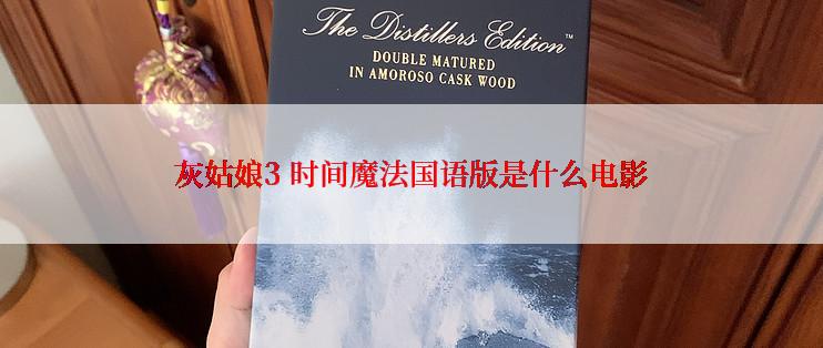 灰姑娘3 时间魔法国语版是什么电影