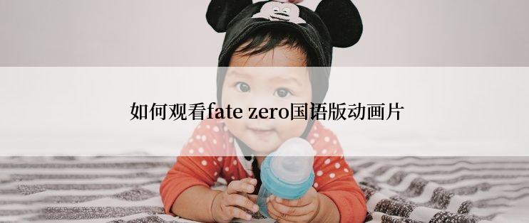 如何观看fate zero国语版动画片