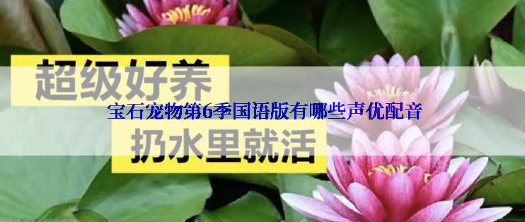 宝石宠物第6季国语版有哪些声优配音