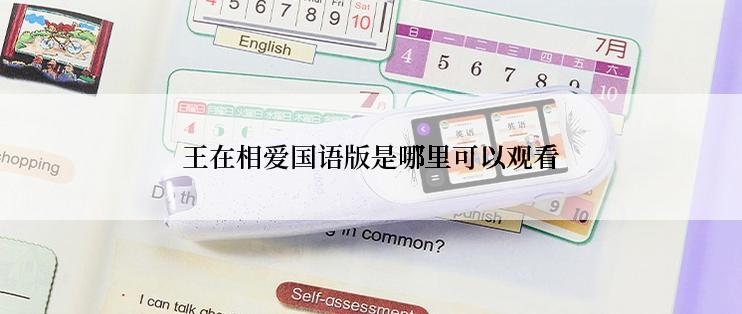 王在相爱国语版是哪里可以观看