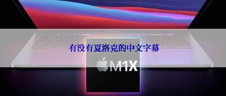 有没有夏洛克的中文字幕