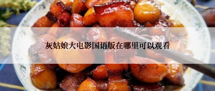 灰姑娘大电影国语版在哪里可以观看