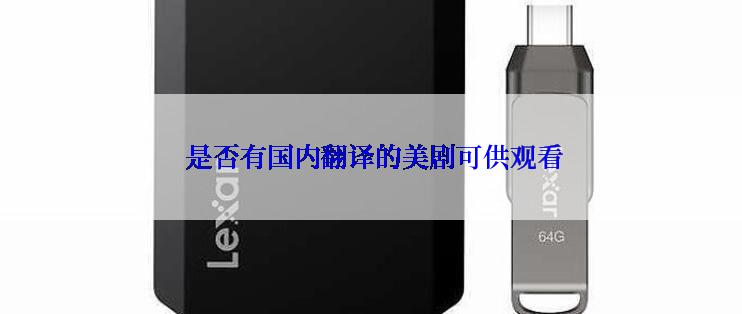 是否有国内翻译的美剧可供观看