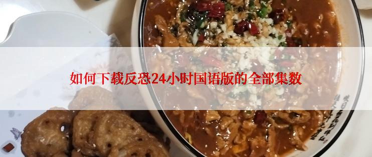如何下载反恐24小时国语版的全部集数
