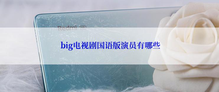  big电视剧国语版演员有哪些