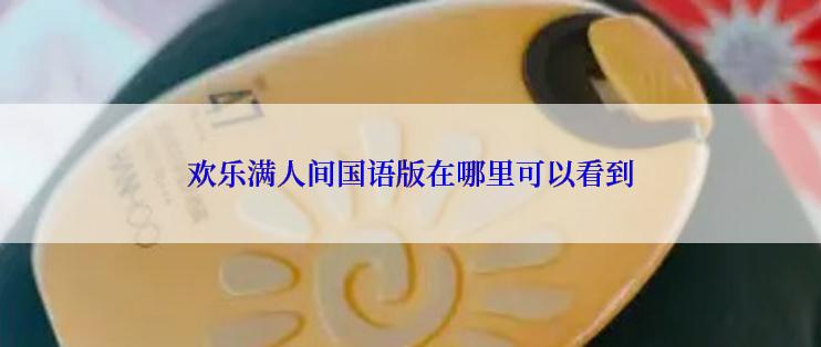 欢乐满人间国语版在哪里可以看到