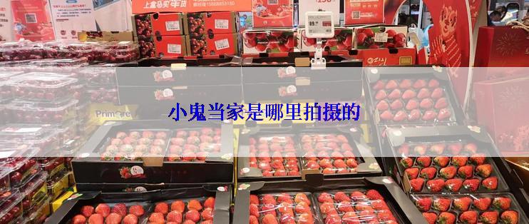 小鬼当家是哪里拍摄的