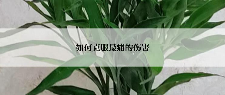 如何克服最痛的伤害