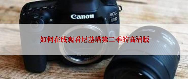  如何在线观看尼基塔第二季的高清版