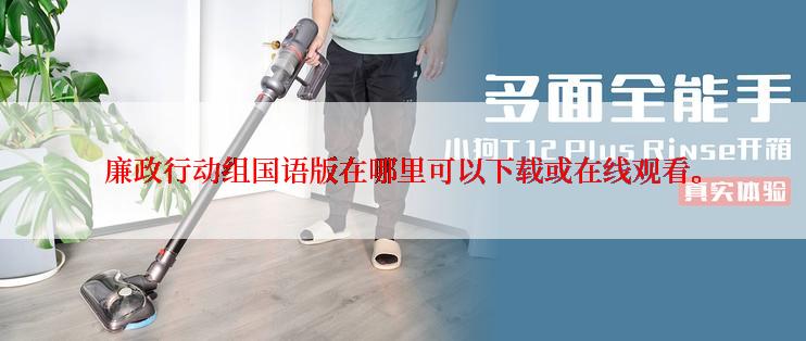 廉政行动组国语版在哪里可以下载或在线观看。
