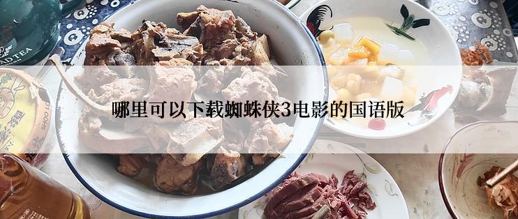 哪里可以下载蜘蛛侠3电影的国语版
