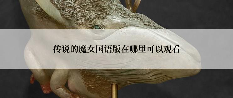 传说的魔女国语版在哪里可以观看