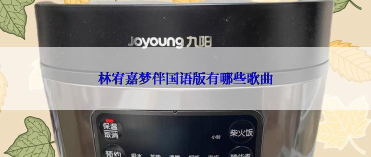 林宥嘉梦伴国语版有哪些歌曲