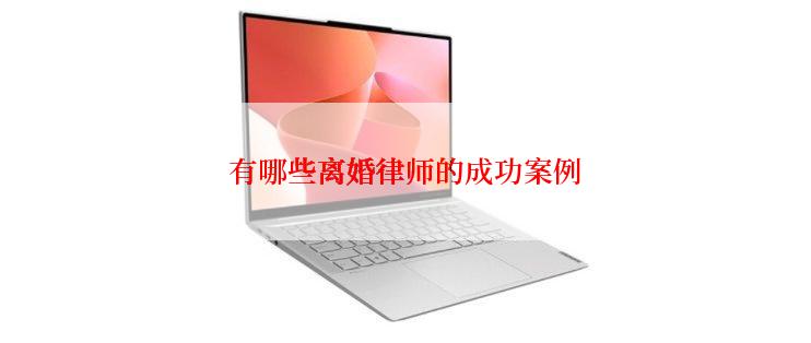 有哪些离婚律师的成功案例
