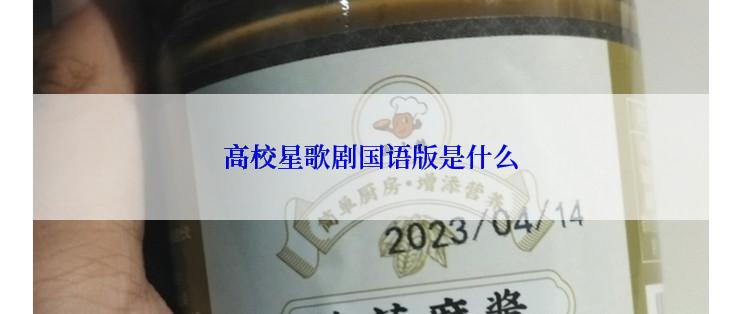 高校星歌剧国语版是什么