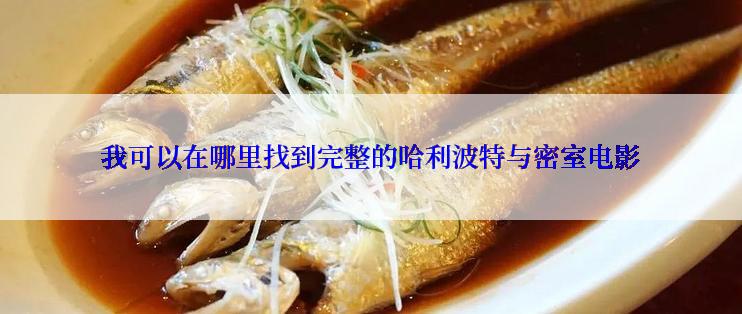 我可以在哪里找到完整的哈利波特与密室电影