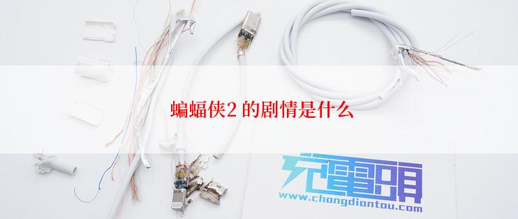  蝙蝠侠2 的剧情是什么