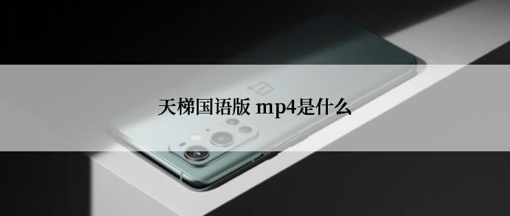 天梯国语版 mp4是什么
