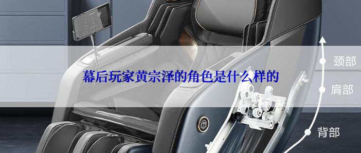 幕后玩家黄宗泽的角色是什么样的