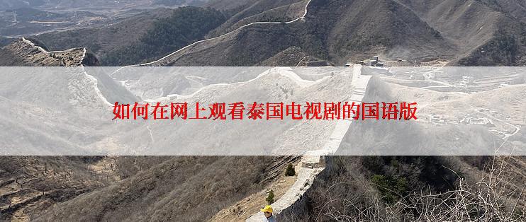  如何在网上观看泰国电视剧的国语版