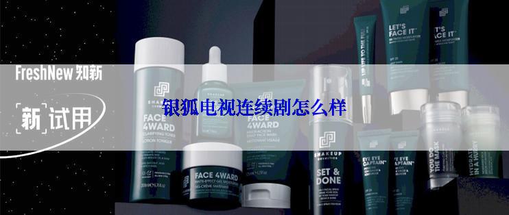 银狐电视连续剧怎么样