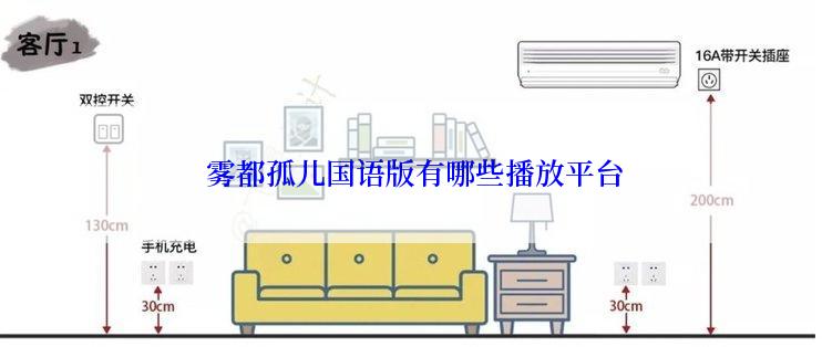  雾都孤儿国语版有哪些播放平台