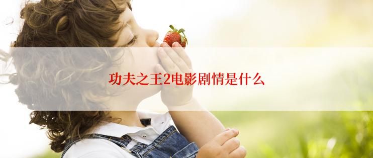 功夫之王2电影剧情是什么