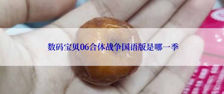  数码宝贝06合体战争国语版是哪一季