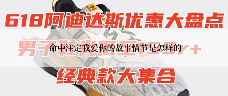  命中注定我爱你的故事情节是怎样的