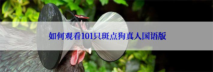  如何观看101只斑点狗真人国语版