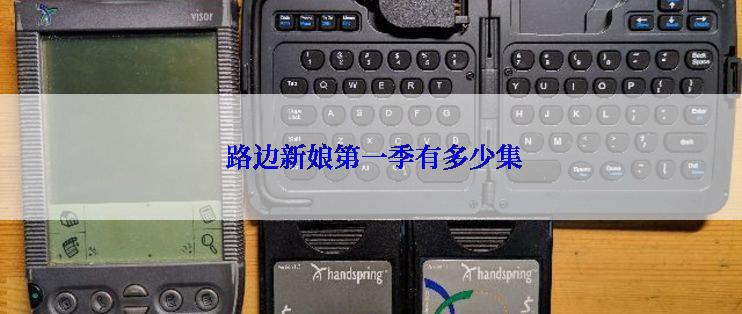  路边新娘第一季有多少集