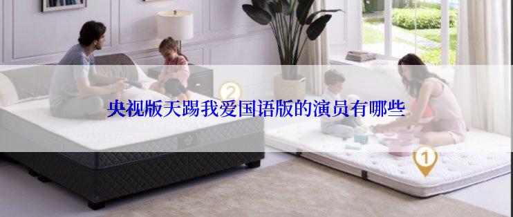 央视版天踢我爱国语版的演员有哪些