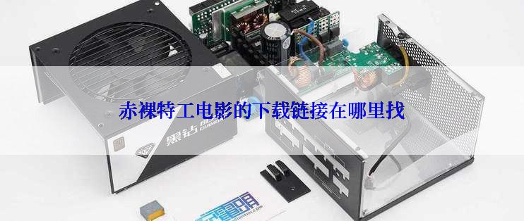 赤裸特工电影的下载链接在哪里找