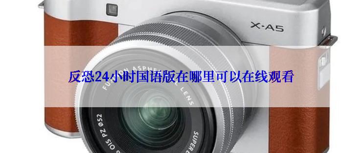 反恐24小时国语版在哪里可以在线观看