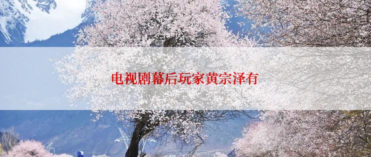 电视剧幕后玩家黄宗泽有