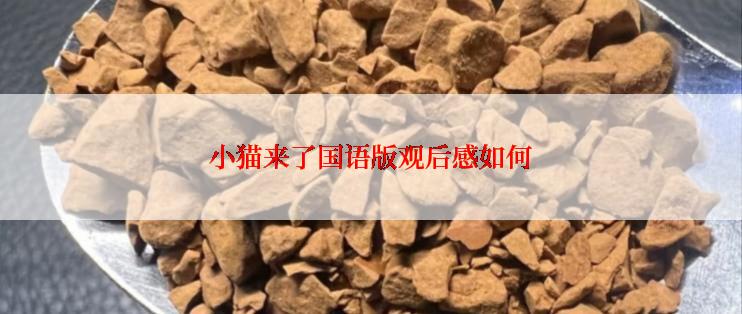 小猫来了国语版观后感如何